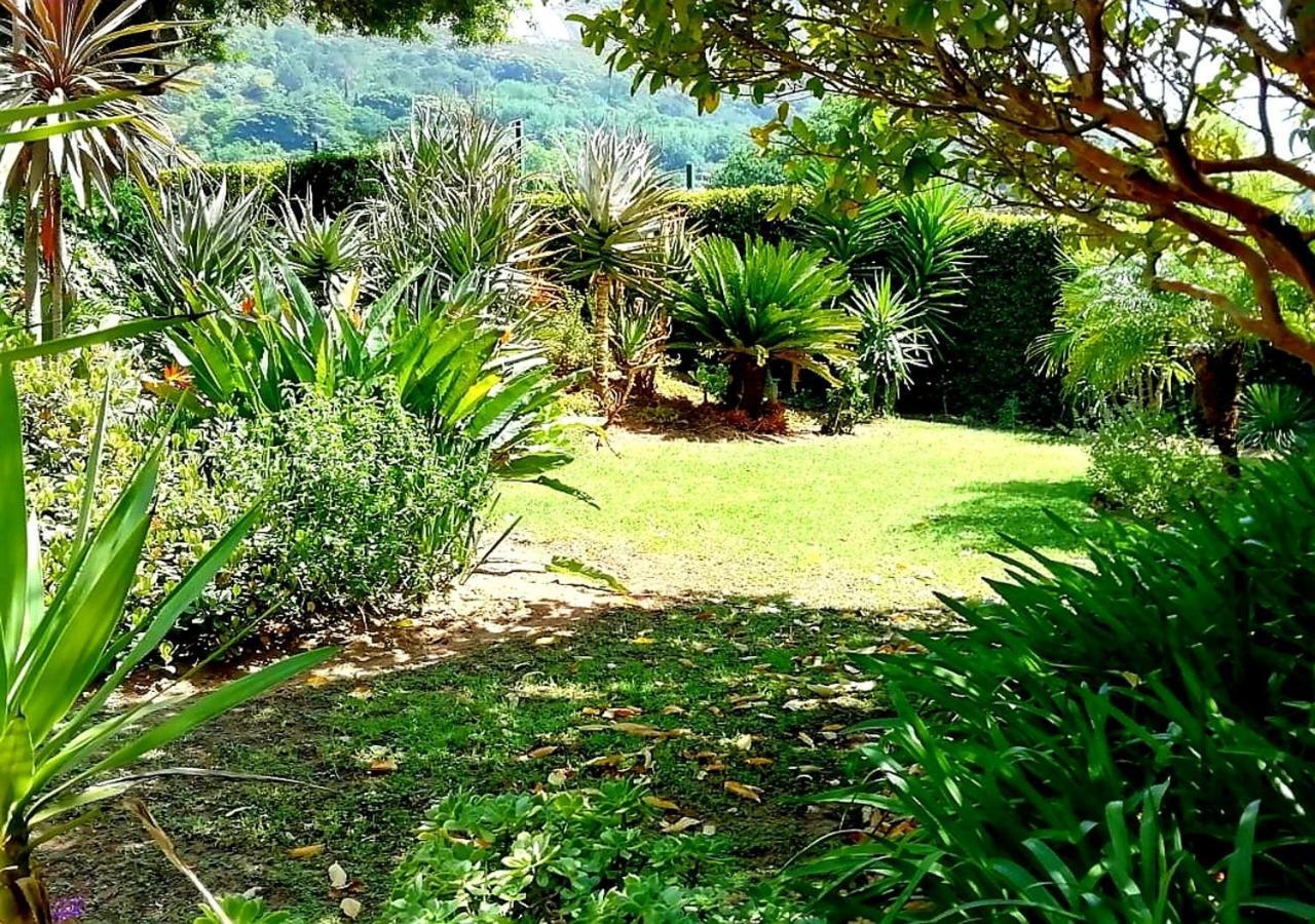 De Wingerd Wijnland Lodge بارل المظهر الخارجي الصورة